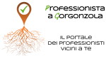 Il portale dei professinisti di Gorgonzola: architetto, assicuratore, avvocato, commercialista, dentista, geometra, idraulico meccanico auto, medico, pediatra